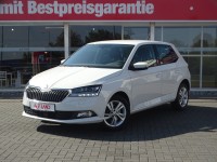 Vorschau: Skoda Fabia 1.0 TSI Style