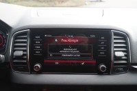 Skoda Karoq 1.5 TSI Sportline DSG