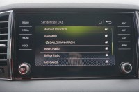 Skoda Karoq 2.0 TDI Sportline 4x4 DSG