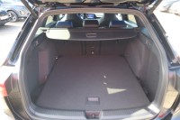 VW Golf VIII Variant 2.0 TSI R 4Motion