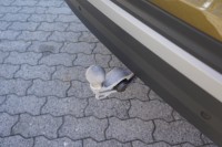 Skoda Kodiaq 2.0 TDI DSG 4x4