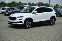 Vorschau: Skoda Karoq 1.5 TSI DSG