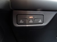 Cupra Terramar 1.5 eTSI DSG