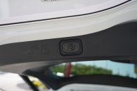 Ford Galaxy 2.0 EB Titanium Aut.
