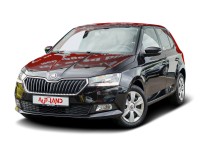 Skoda Fabia 1.0 MPI Active Klima Sitzheizung PDC DAB
