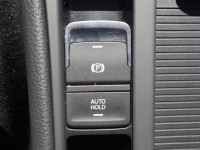 VW Golf VII 2.0 TDI DSG R-Line Pano VC