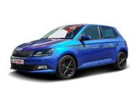 Skoda Fabia 1.2 TSI Joy Klimaaut. Navi Sitzheizung PDC