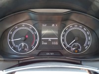 Skoda Kamiq 1.5 TSI Ambition DSG