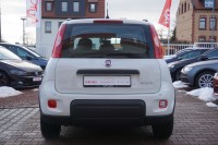 Fiat Panda 1.0 M-Hybrid City Life