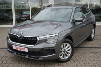 Vorschau: Skoda Kamiq 1.0 TSI DSG