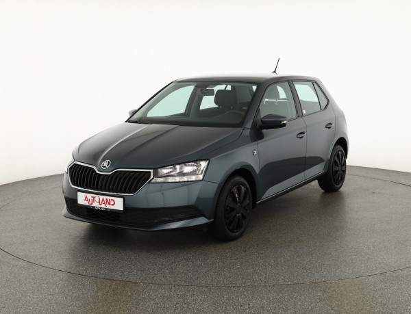 Skoda Fabia 1.0 TSI