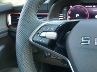 Skoda Kamiq Monte Carlo 1.5 TSI DSG