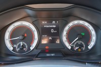 Skoda Kamiq 1.0TSI DSG Monte Carlo