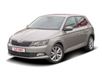 Skoda Fabia 1.2 TSI Joy Navi Sitzheizung Anhängerkupplung