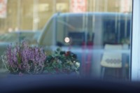 VW Golf VIII Variant 1.5 TSI R-Line