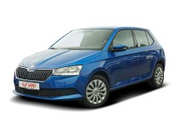 Skoda Fabia 1.0 MPI Cool Plus SmartLink Sitzheizung