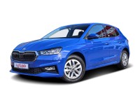 Skoda Fabia 1.0 TSI Style LED Navi Sitzheizung PDC DAB