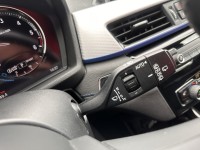 BMW X2 xDrive20d M Sport