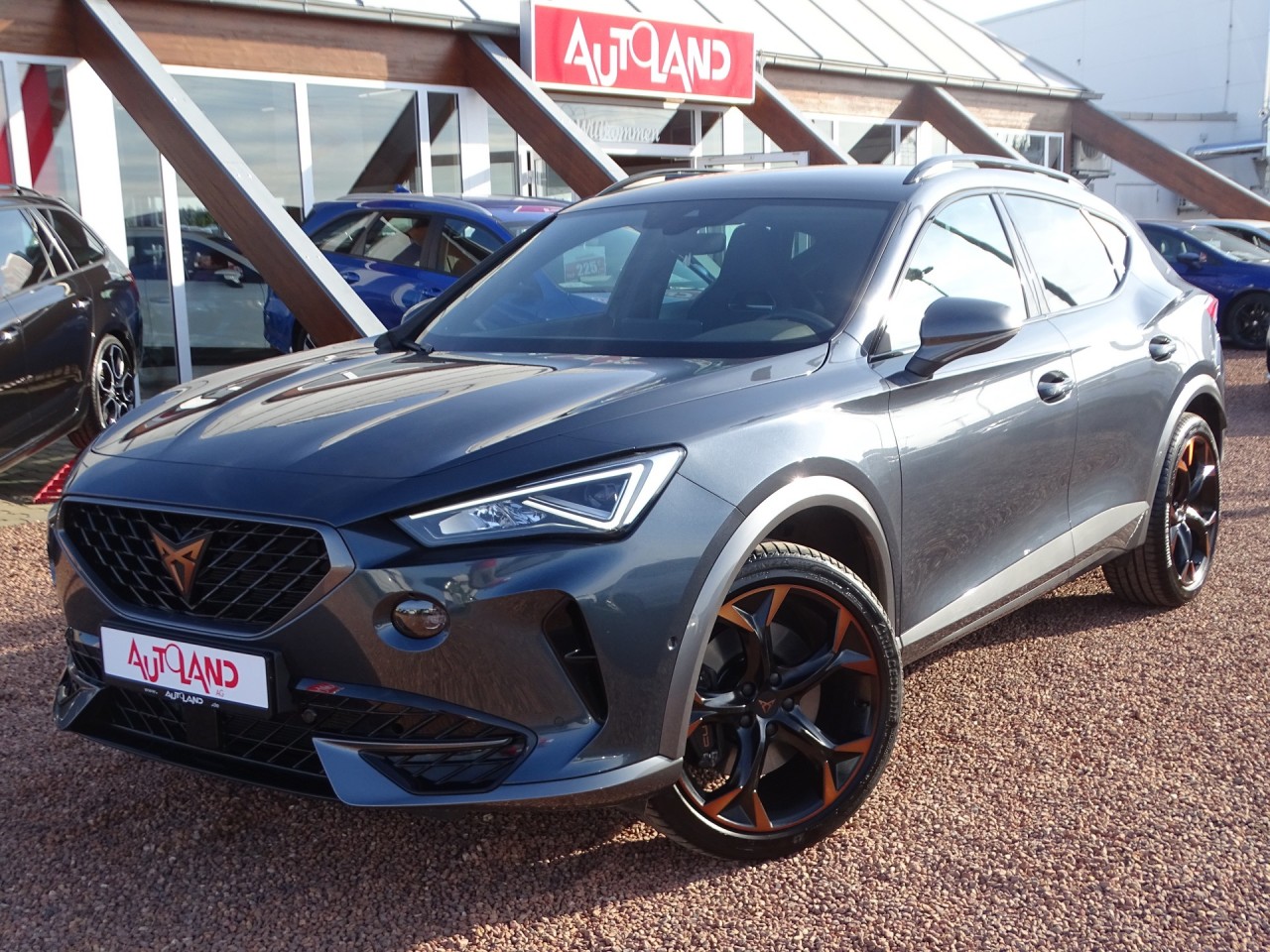 Cupra Formentor 2.0 TSI 4Drive DSG