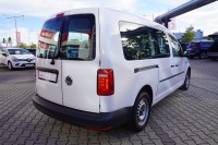 VW Caddy 1.0 TSI Maxi Werkzeugschrank AHK