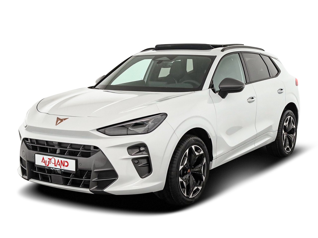 Cupra Terramar VZ 2.0 TSI 4Drive DSG