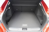 Renault Arkana mHEV 140 Aut.