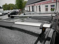 Renault Trafic Kasten 2.0 dCi L2H1 Doka