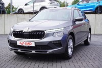 Vorschau: Skoda Kamiq 1.0 TSI DSG