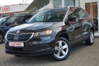 Vorschau: Skoda Karoq 1.0 TSI Ambition