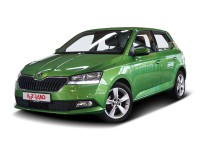 Skoda Fabia 1.0 MPI Drive Klimaaut. SmartLink Tempomat