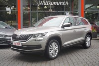 Vorschau: Skoda Kodiaq 1.4 16V TSI Ambition