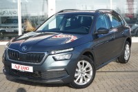 Vorschau: Skoda Kamiq 1.0 Ambition