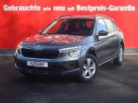 Vorschau: Skoda Kamiq 1.0 TSI