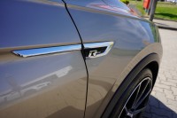 VW Tiguan 2.0 TSI R-Line 4M 21Zoll