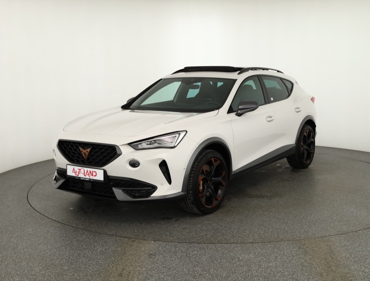 Cupra Formentor VZ 2.0 TSI 4x4 DSG