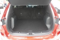 Ford Kuga Plug-In Hybrid ST-Line
