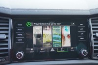 Skoda Kodiaq 2.0 TDI Sportline 4x4 DSG