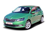 Skoda Fabia 1.0 MPI Clever Sitzheizung Tempomat Bluetooth