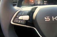 Skoda Kamiq 130 Edition 1.0 TSI DSG