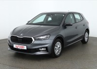 Skoda Fabia 1.0 TSI DSG 2-Zonen-Klima Sitzheizung LED