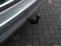 VW Passat Variant 2.0 TDI R-Line 4M