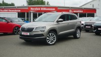 Vorschau: Skoda Karoq 1.0 TSI Style