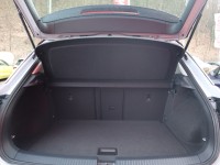 VW T-Roc 1.5 16V TSI Active Standhzg.