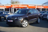 Vorschau: Skoda Karoq 1.5 TSI