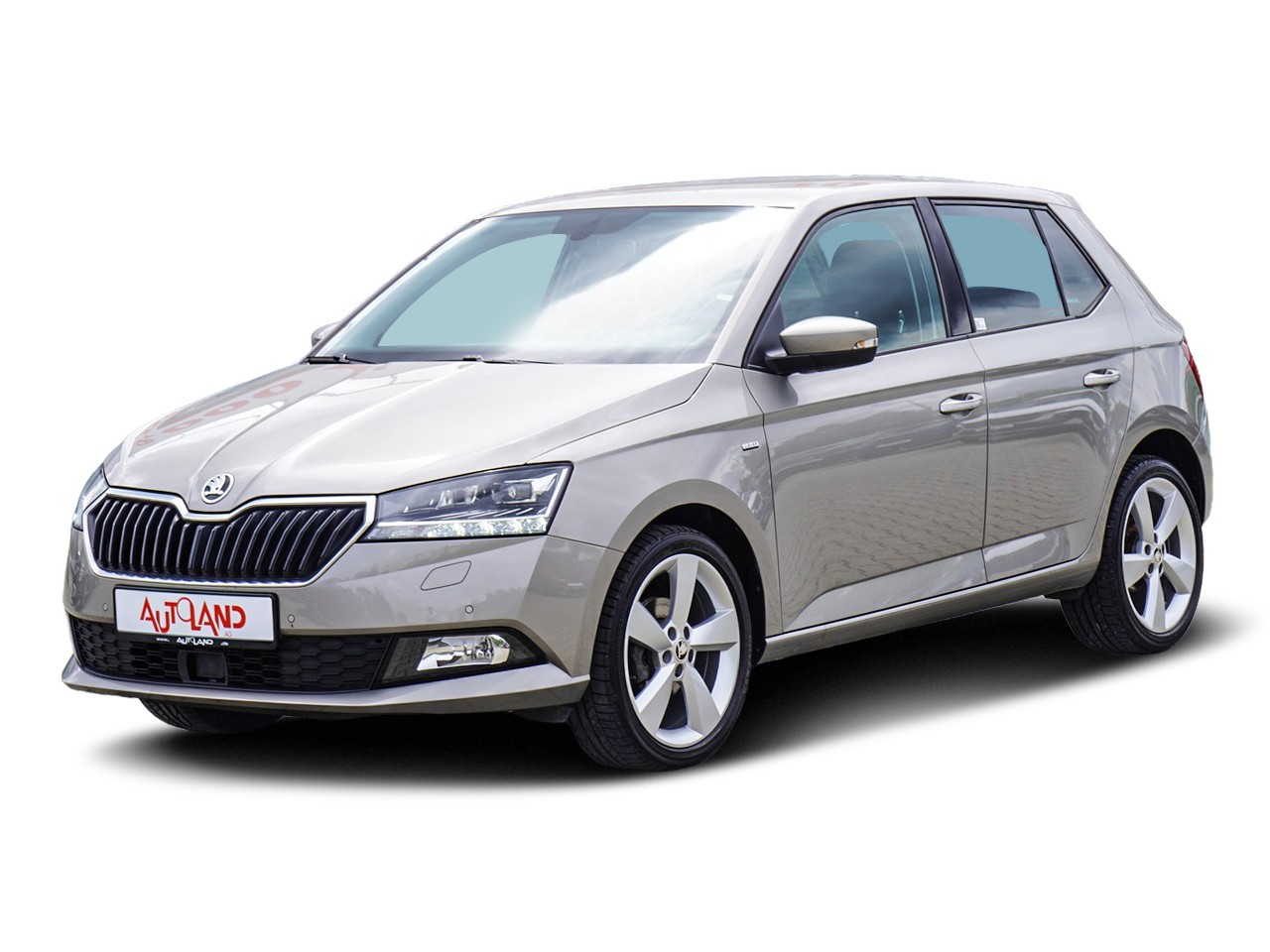 Skoda Fabia 1.0 TSI Clever