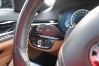 BMW 530 530i xDrive Luxury Line