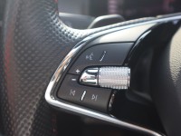 Skoda Kodiaq RS 2.0 TSI DSG 4x4