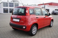 Fiat Panda 1.0 M-Hybrid Base