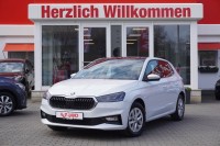 Vorschau: Skoda Fabia 1.0 TSI