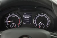 Skoda Karoq 1.5 TSI DSG VarioFlex Sitzhzg.